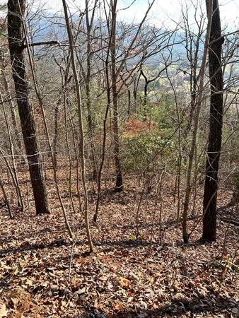 $35,000 | Lot 56 Indian Trail, Hayesville, NC 28904