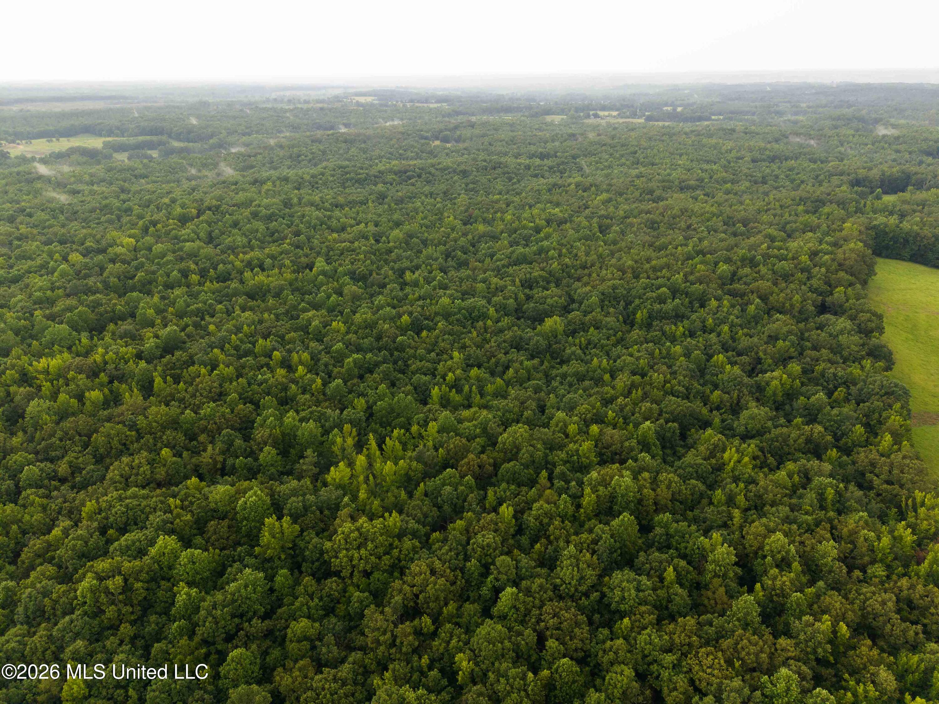 Tallaha Road Scobey, MS 38953 - Photo 16 of 19 watsonphotography260725162941