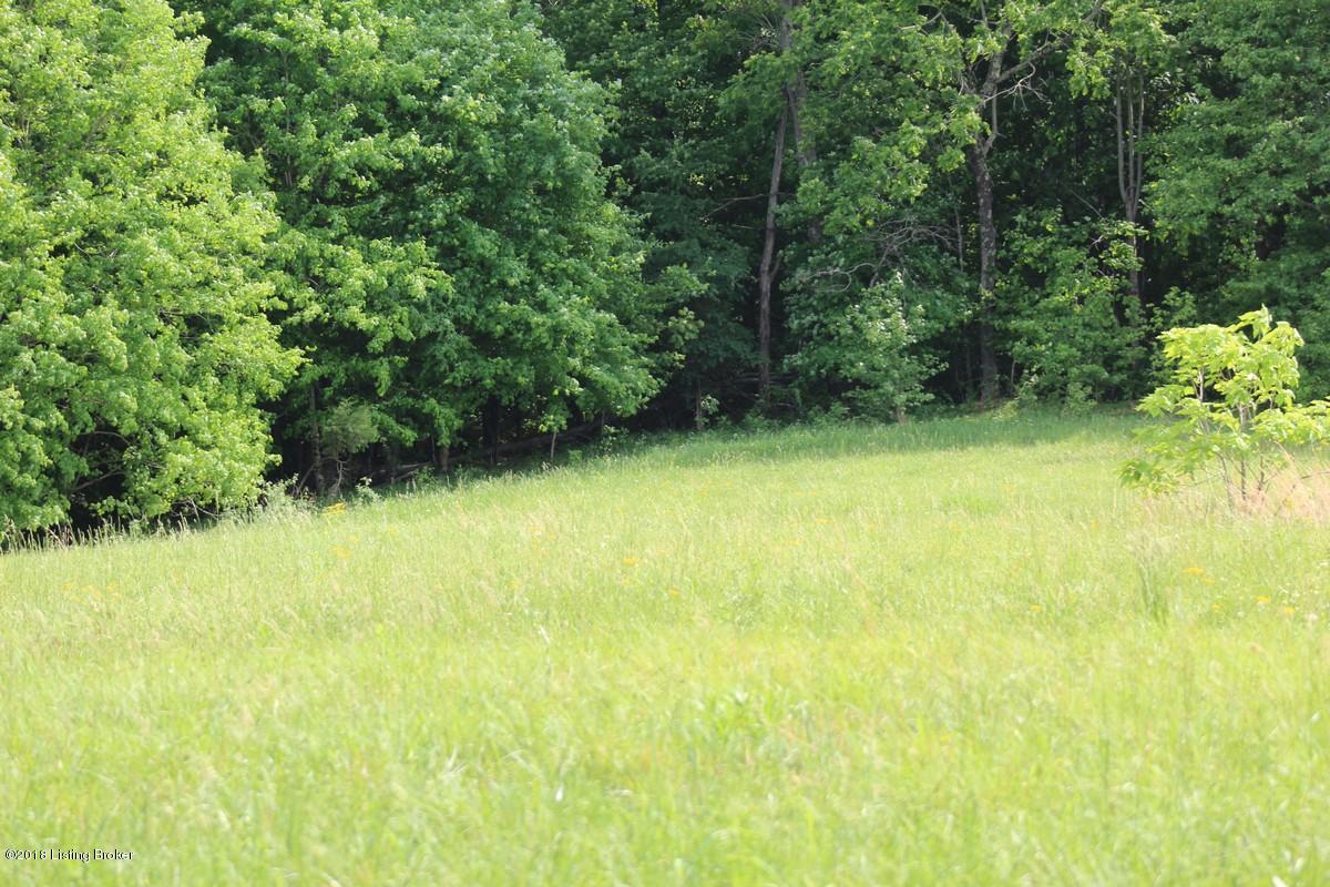 1000 Ready Jackson Road Caneyville, KY 42721 - Photo 17 of 31 Mudd Farms15