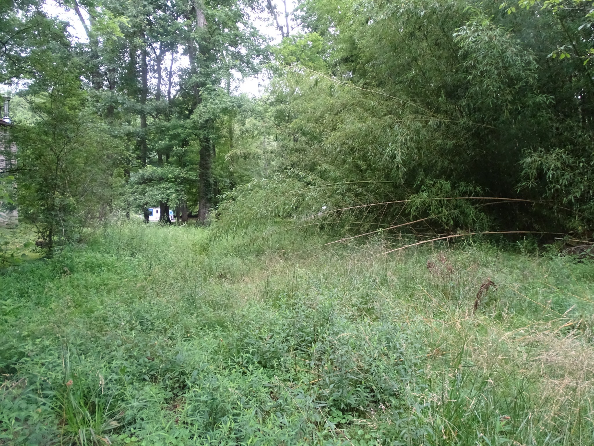 1341 Chapmansboro Road Chapmansboro, TN 37035 - Photo 1 of 7