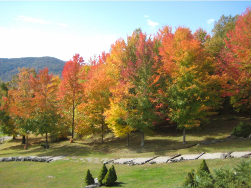 65 Sykes Hollow Road Pawlet, VT 05761 - Photo 3 of 19 Gallery Image 3