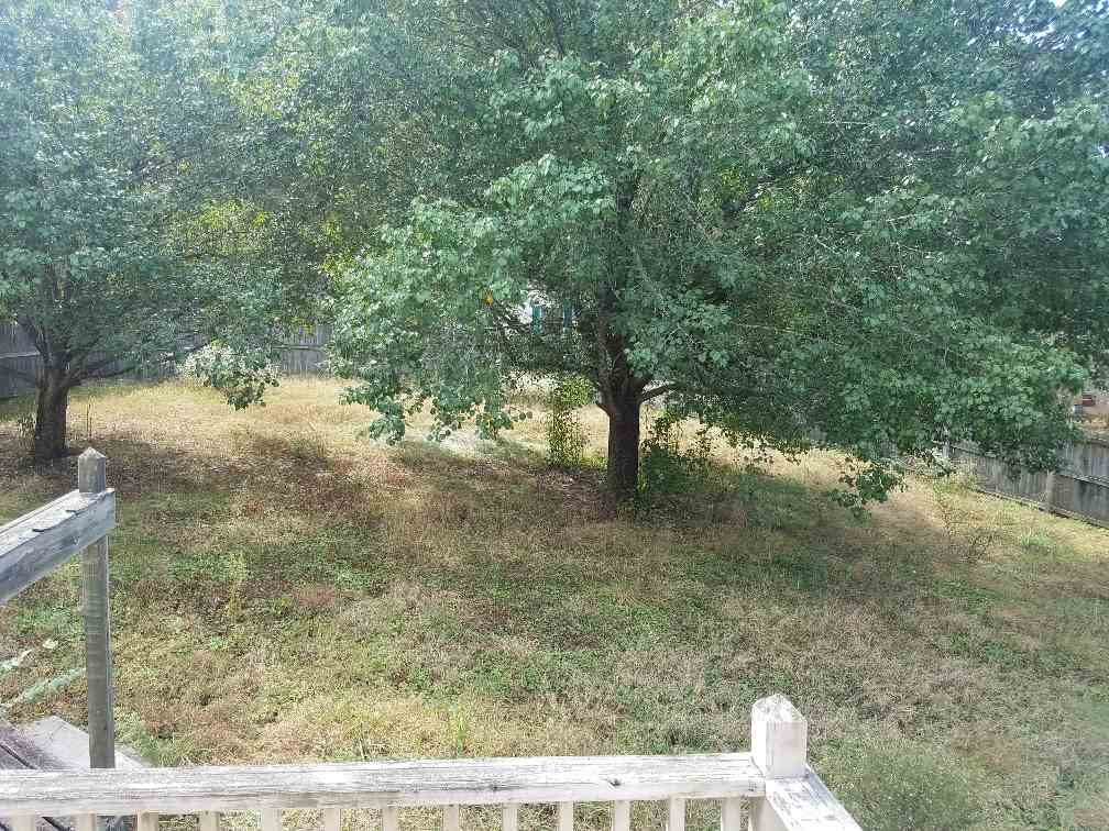 4118 Converse Road Durham, NC 27703 - Photo 3 of 17 Photo 3