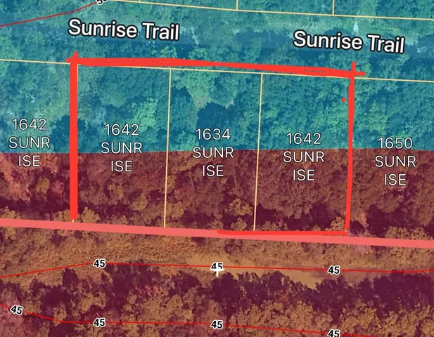 a view of a forest with trees in the background