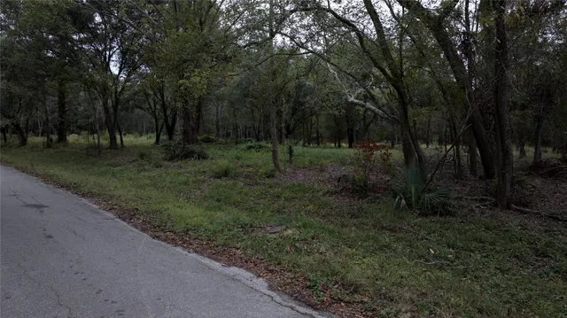 a view of a pathway with a park
