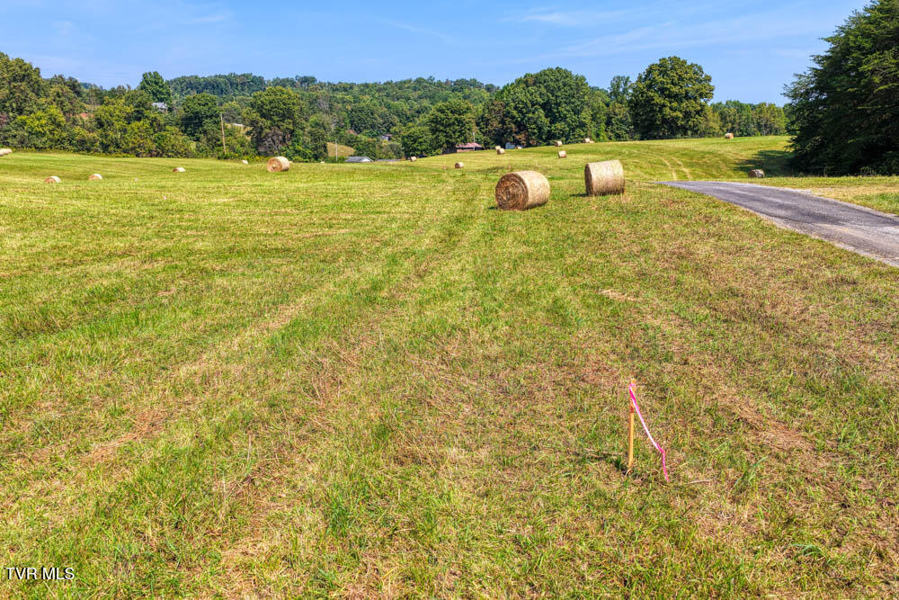 Lot 12 Magnolia Road Rogersville, TN 37857 - Photo 25 of 43 Magnolia MLSa (23 of 41)