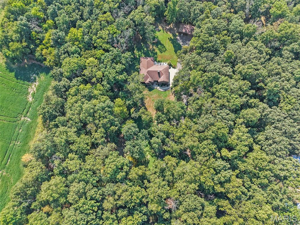 8539 Beaucoup Township Road Ashley, IL 62808 - Photo 59 of 70 Gallery Image 59