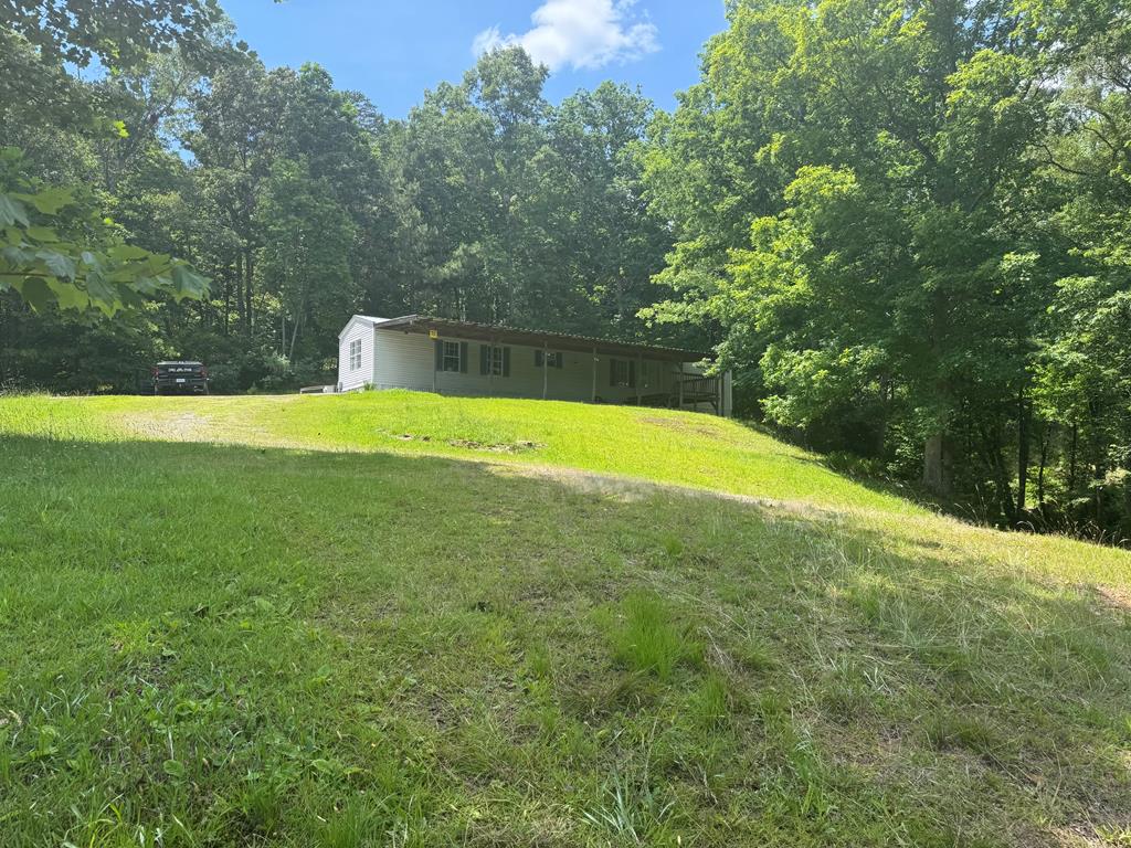 Main View