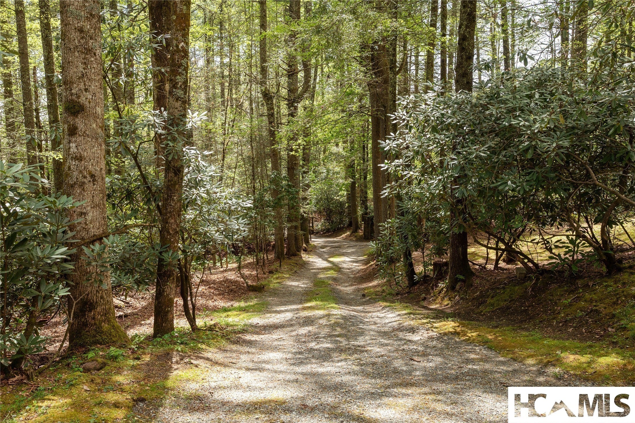 159 Webb Branch Road Highlands, NC 28741 - Photo 93 of 98 Gallery Image 93