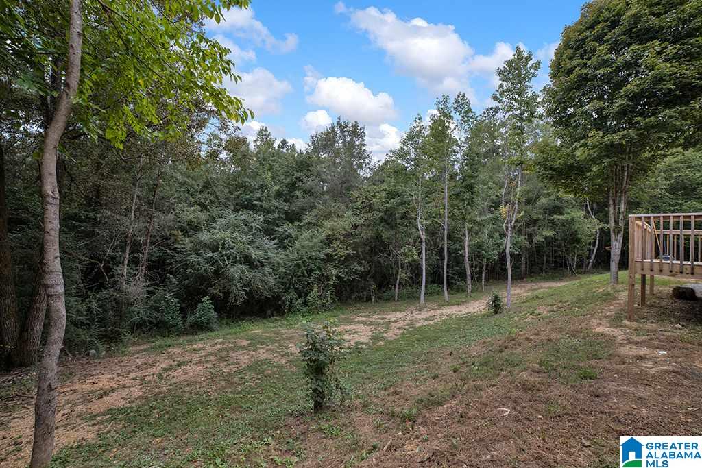244 Frankies Road Vincent, AL 35178 - Photo 3 of 25