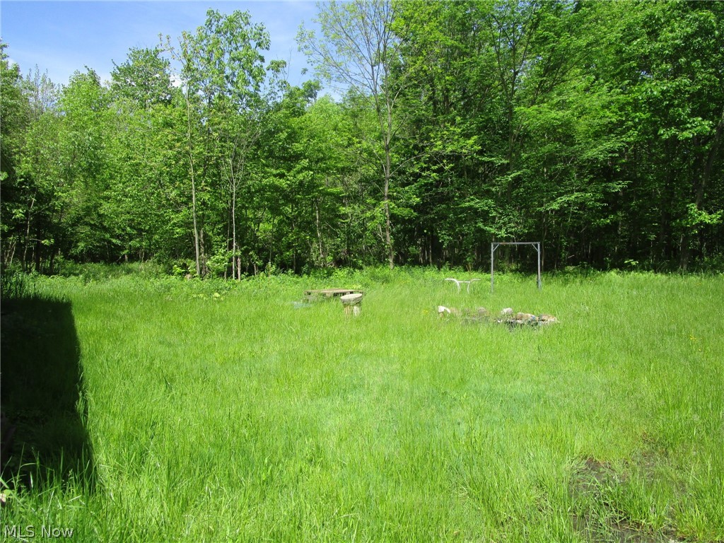 Vl Doyle Road Jefferson, OH 44047 - Photo 21 of 42