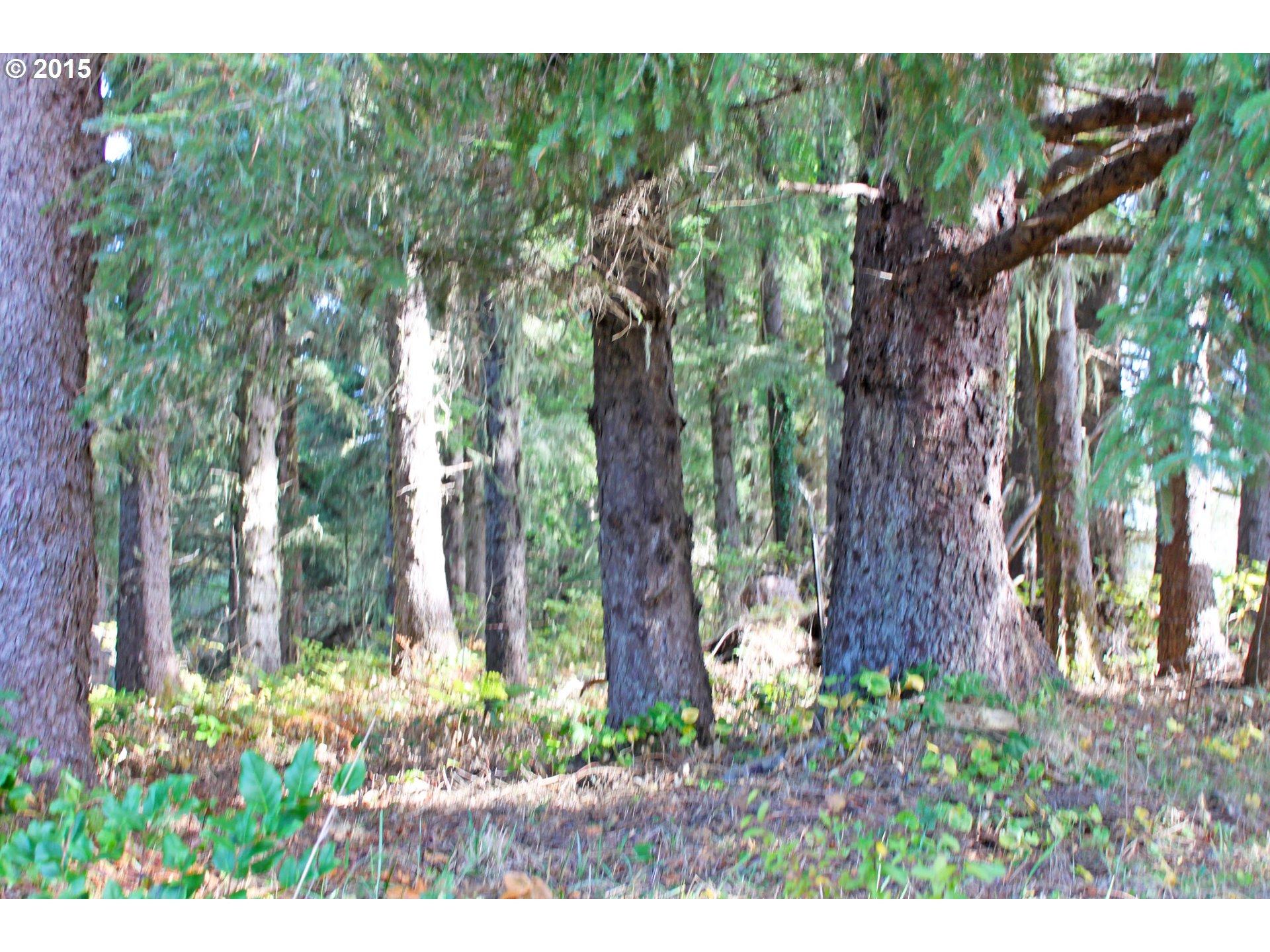 Lot 403 Netarts Bay Road Tillamook, OR 97141 - Photo 2 of 2 trees