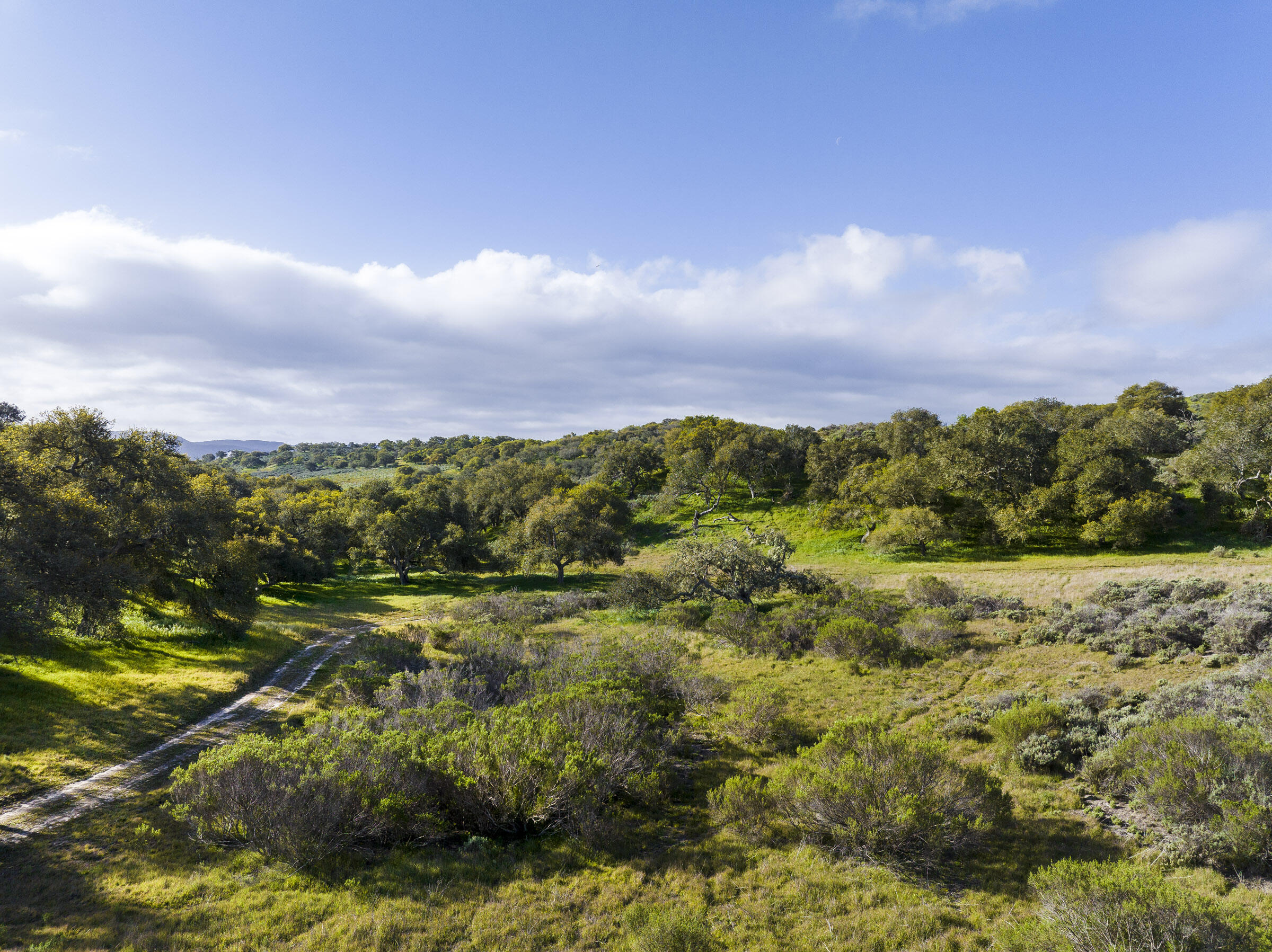 4755 Sweeney Road Lompoc, CA 93436 - Photo 6 of 8 4755 Sweeney Rd_0024
