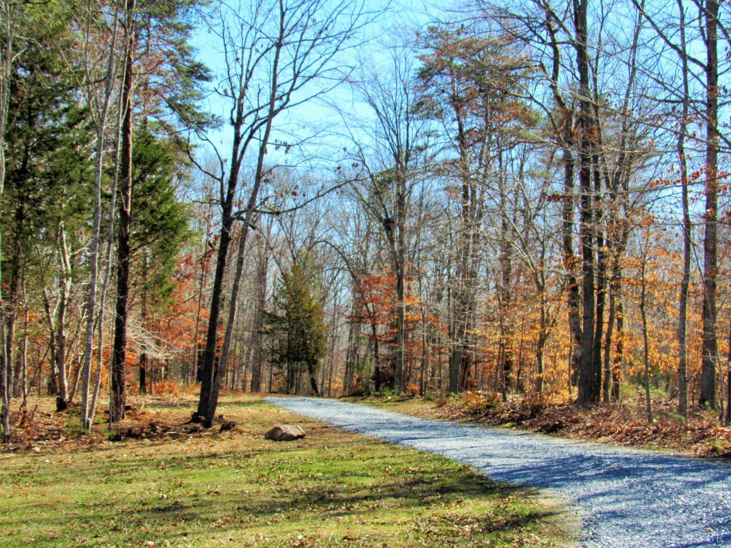 332 Partridge Creek Road Amherst, VA 24521 - Photo 39 of 42 Gallery Image 39
