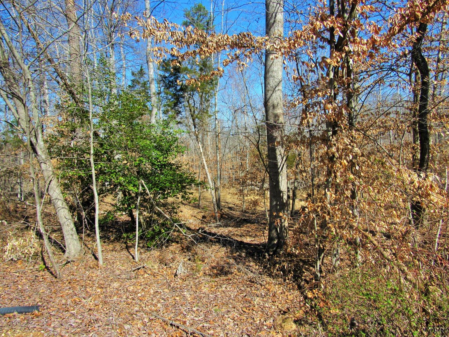 332 Partridge Creek Road Amherst, VA 24521 - Photo 40 of 42 Gallery Image 40