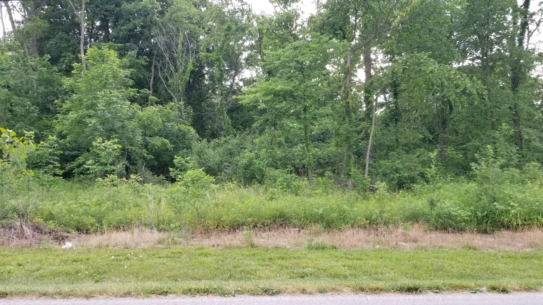 0 Willow Dale Road Springfield, OH 45502 - Photo 21 of 21