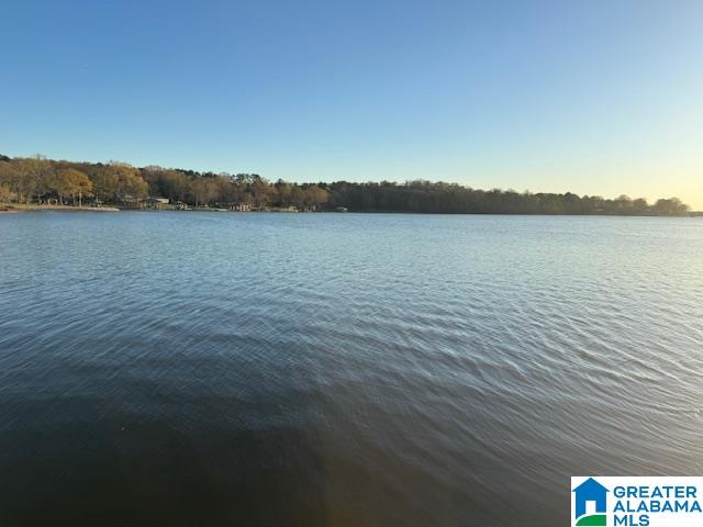 1442 Shannon Way Talladega, AL 35160 - Photo 66 of 73