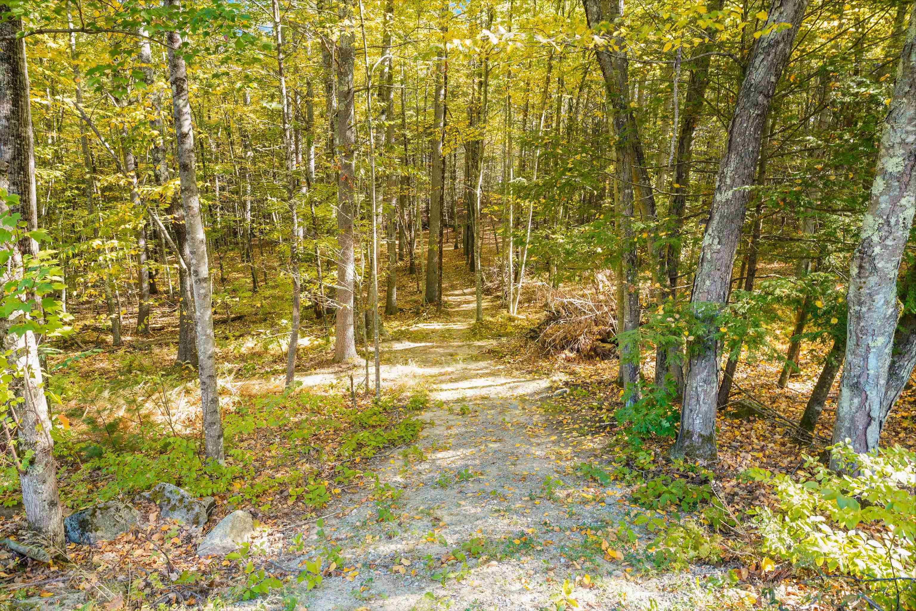 156 Piscassic Road Newfields, NH 03856 - Photo 54 of 59