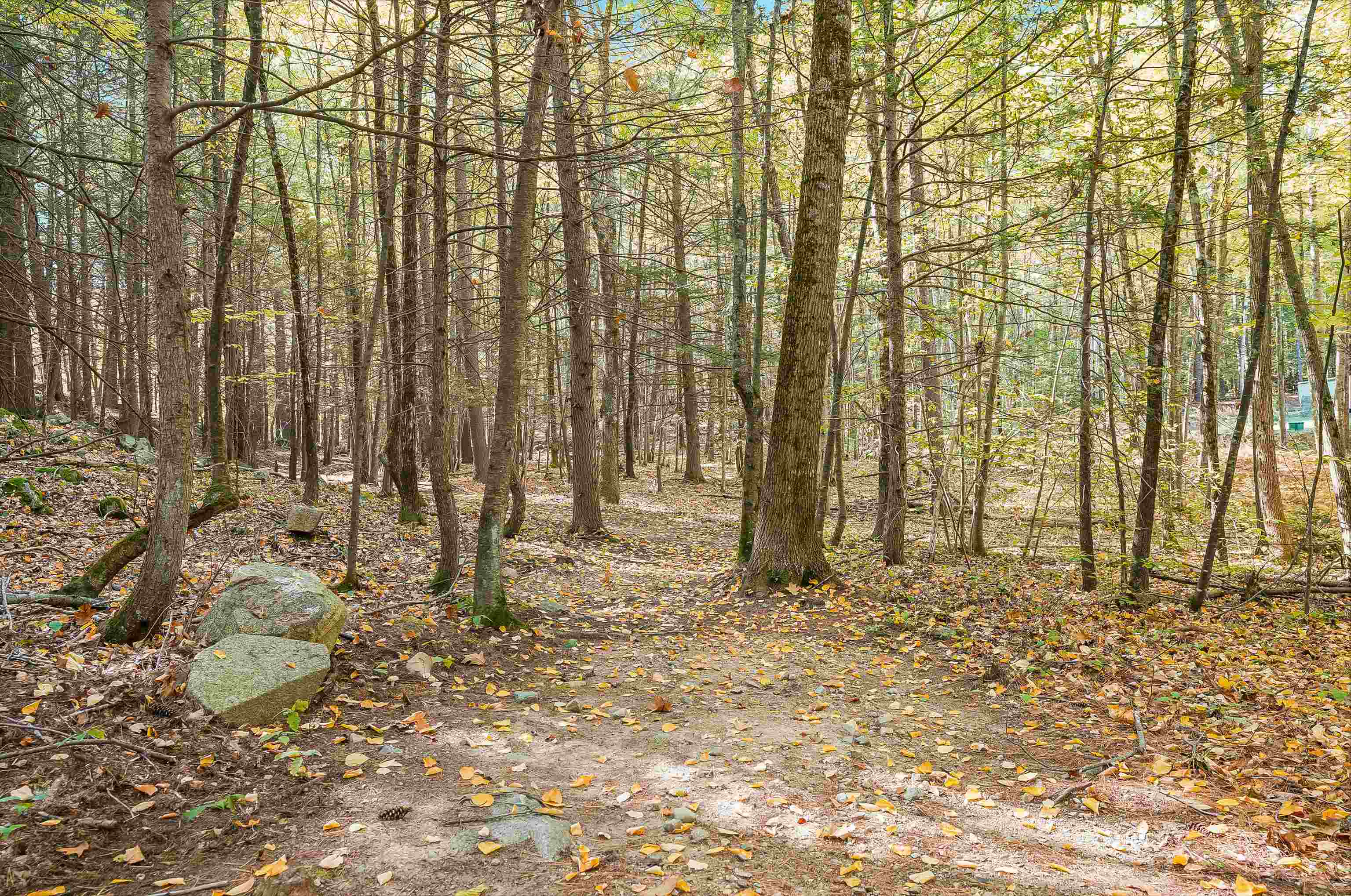 156 Piscassic Road Newfields, NH 03856 - Photo 55 of 59