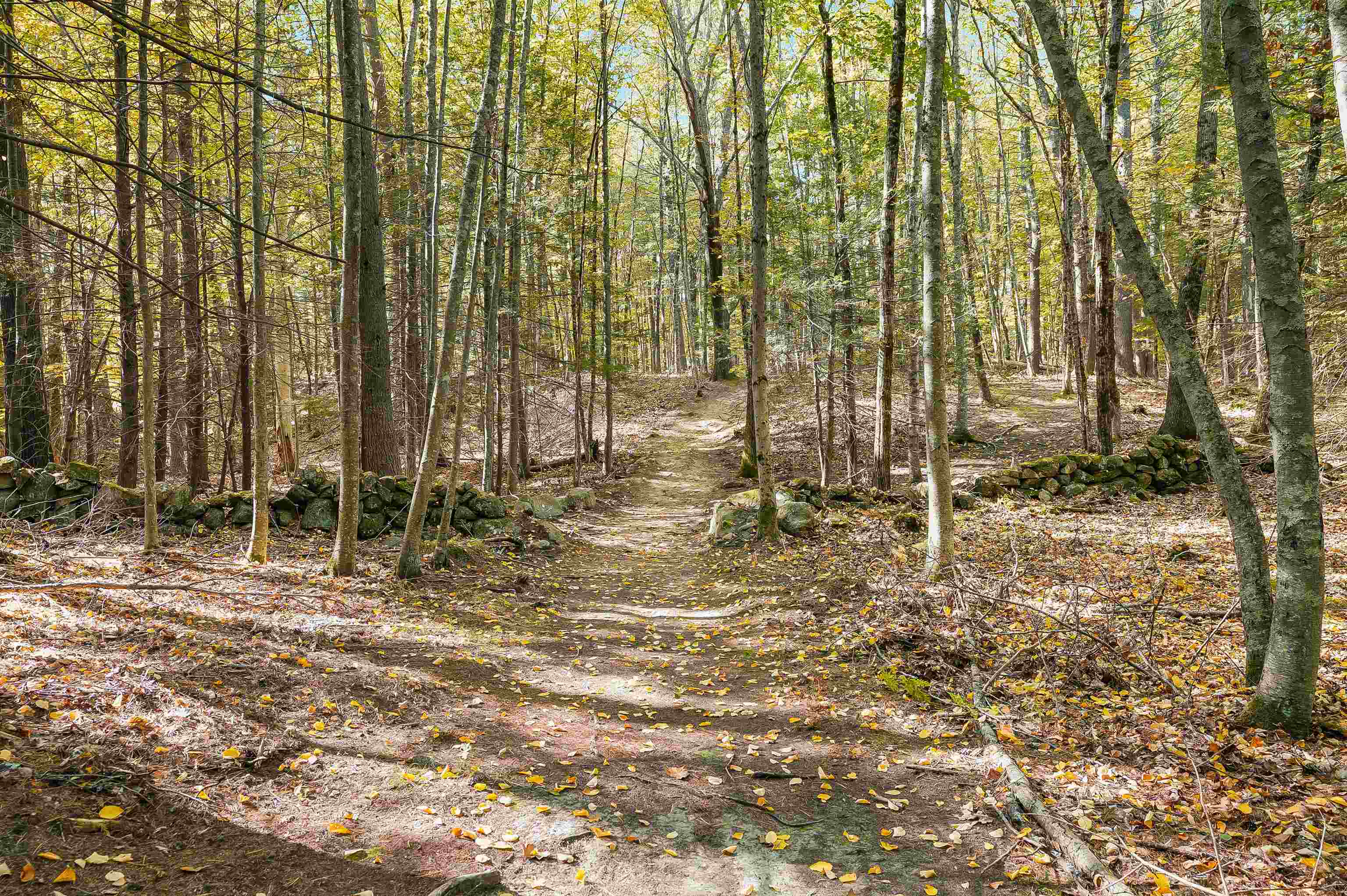 156 Piscassic Road Newfields, NH 03856 - Photo 56 of 59