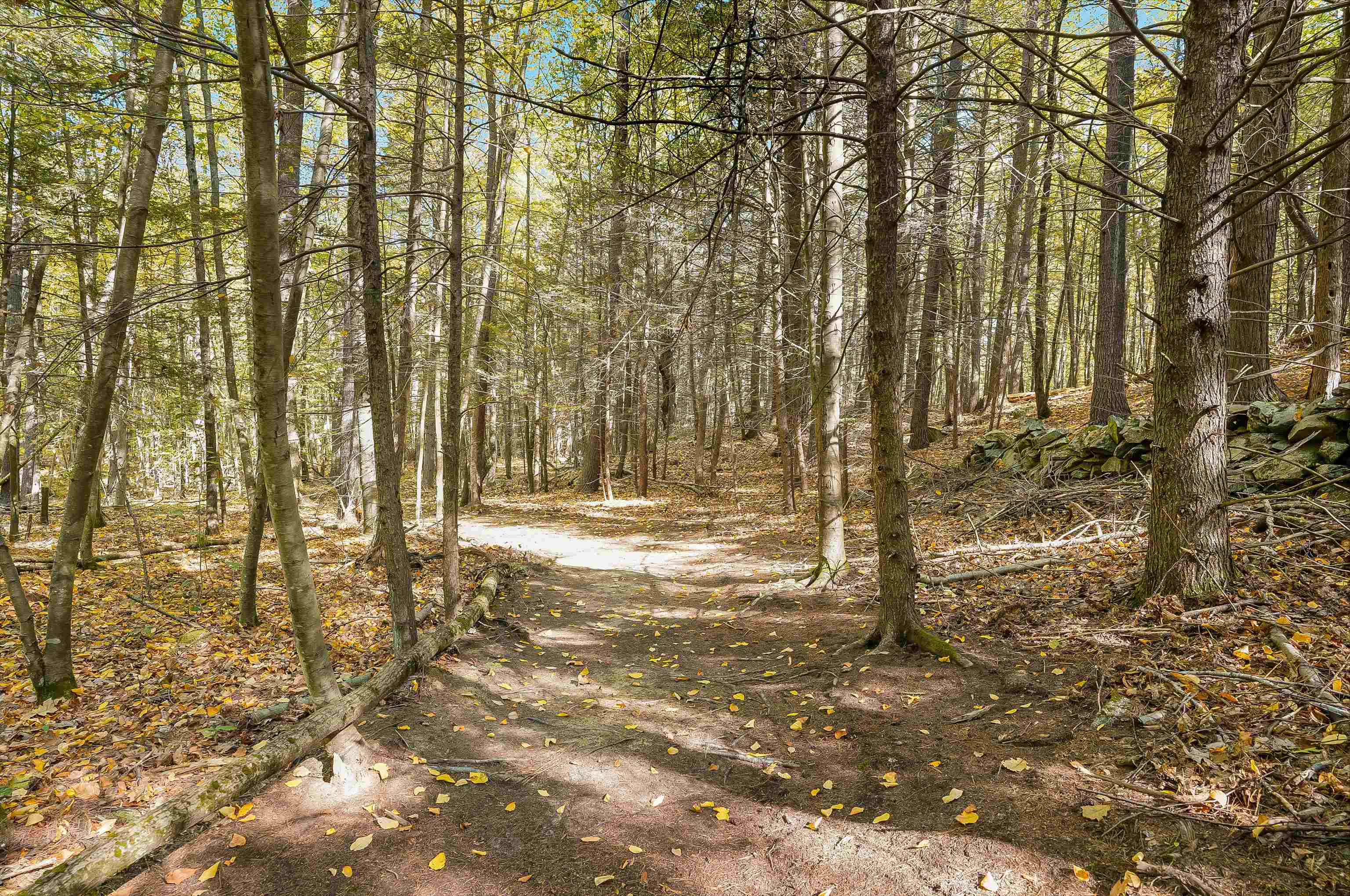 156 Piscassic Road Newfields, NH 03856 - Photo 57 of 59