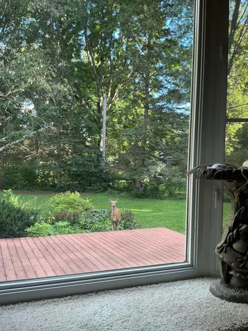 $315,000 | 922 248th Street, Osceola, WI 54020