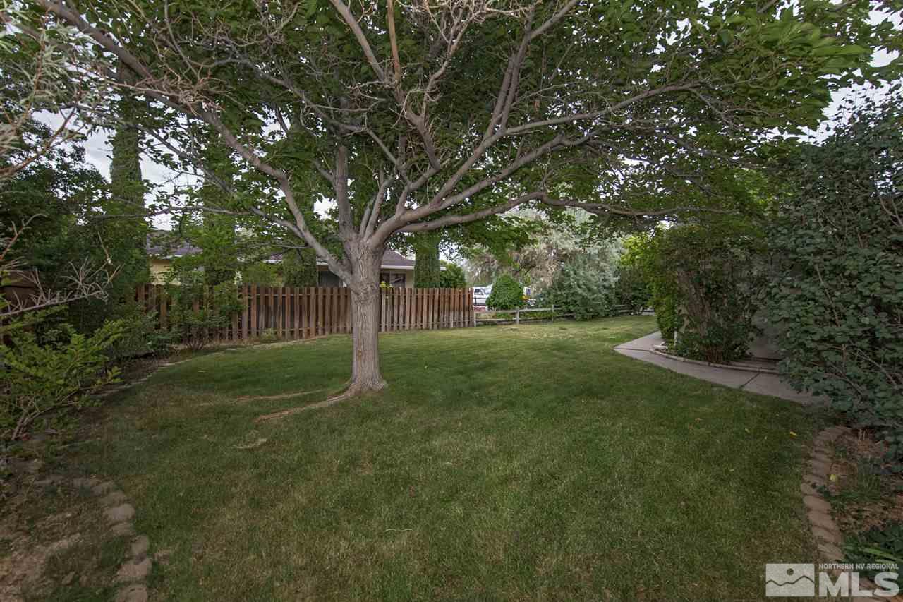 3375 Lookout Place Reno, NV 89503 - Photo 21 of 25 a view of a park with large trees