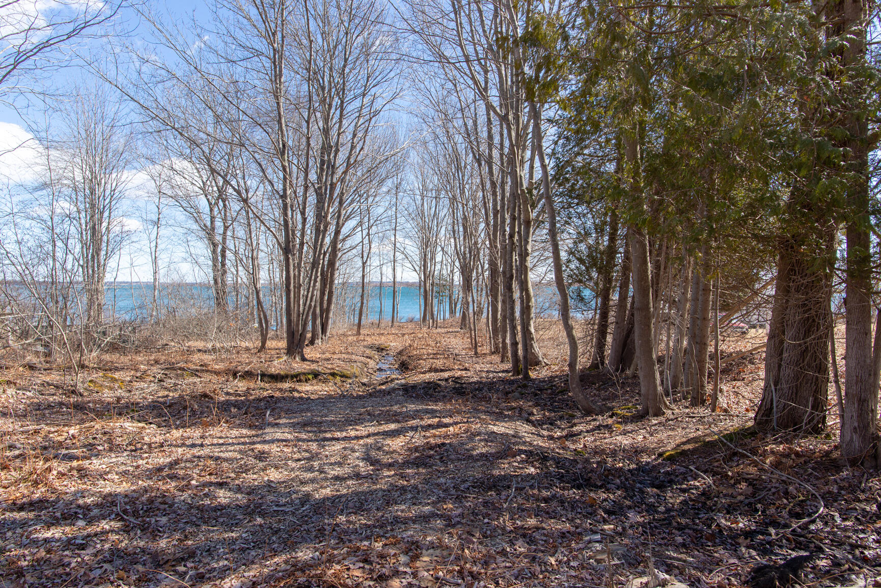 Lot 102 South Road Chebeague Island, ME 04017 - Photo 11 of 26 102-6