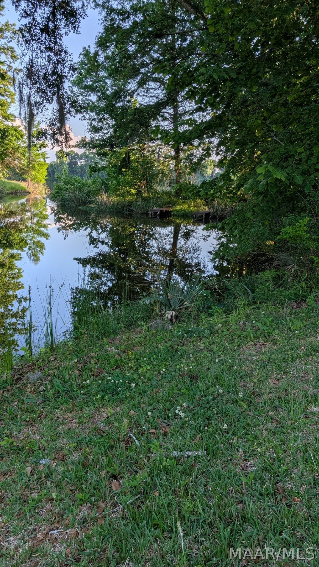 14 Choctaw Road Orrville, AL 36767 - Photo 3 of 9 Gallery Image 3