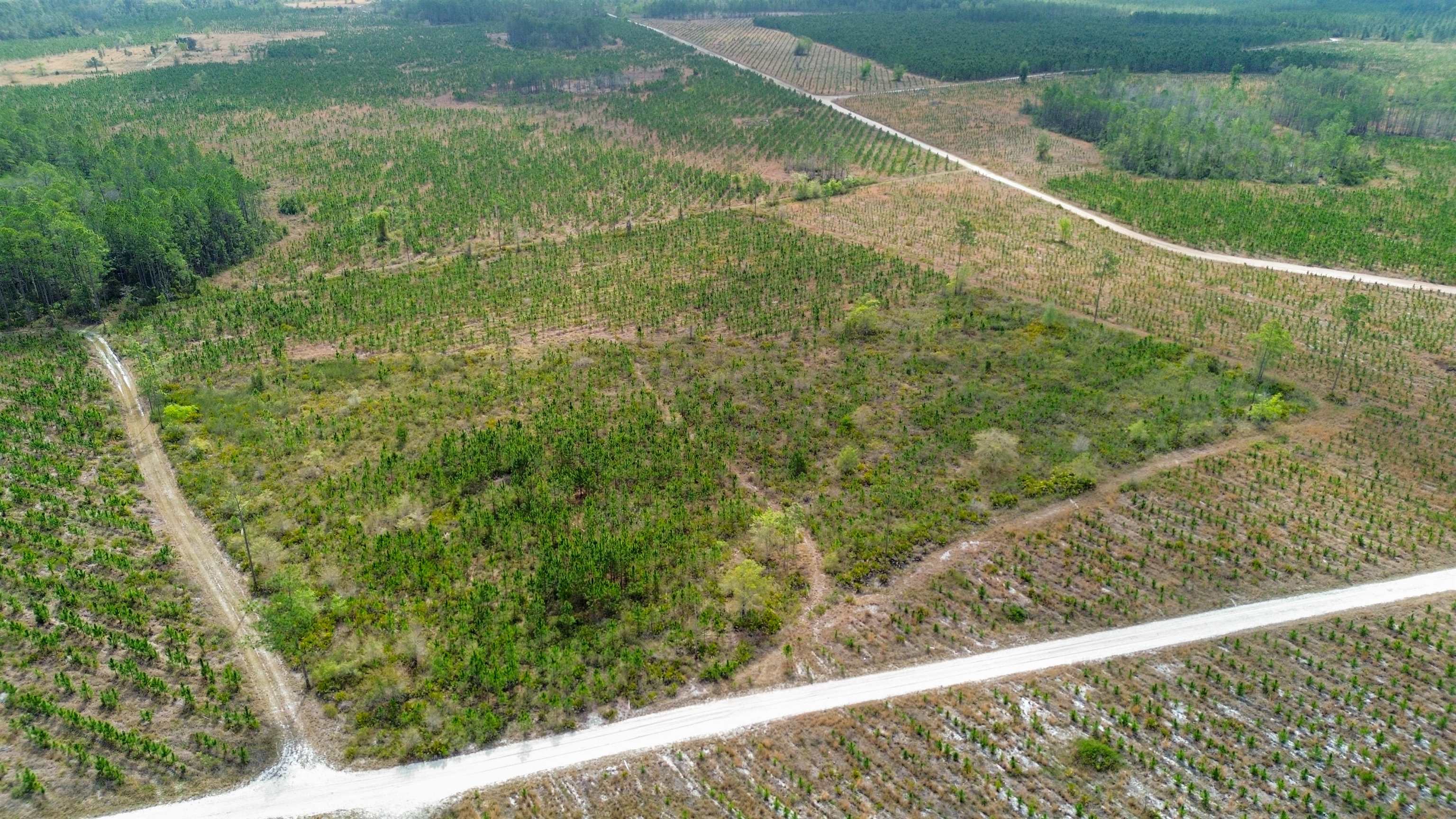 0 Fox Road Palatka, FL 32177 - Photo 4 of 17