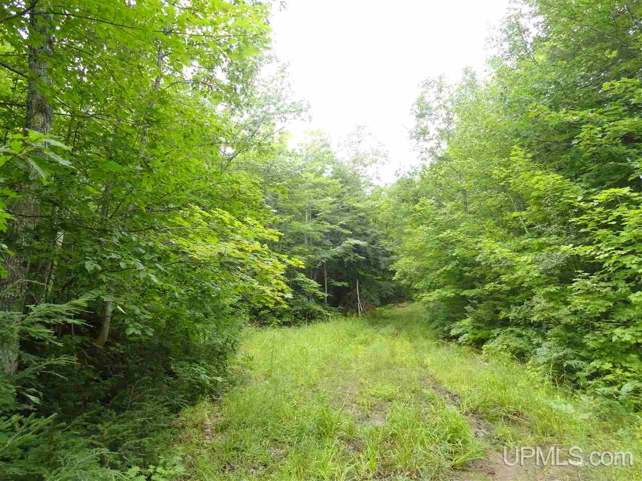 510 Rd Marquette Mi 49855 Road Negaunee, MI 49866 - Photo 1 of 26