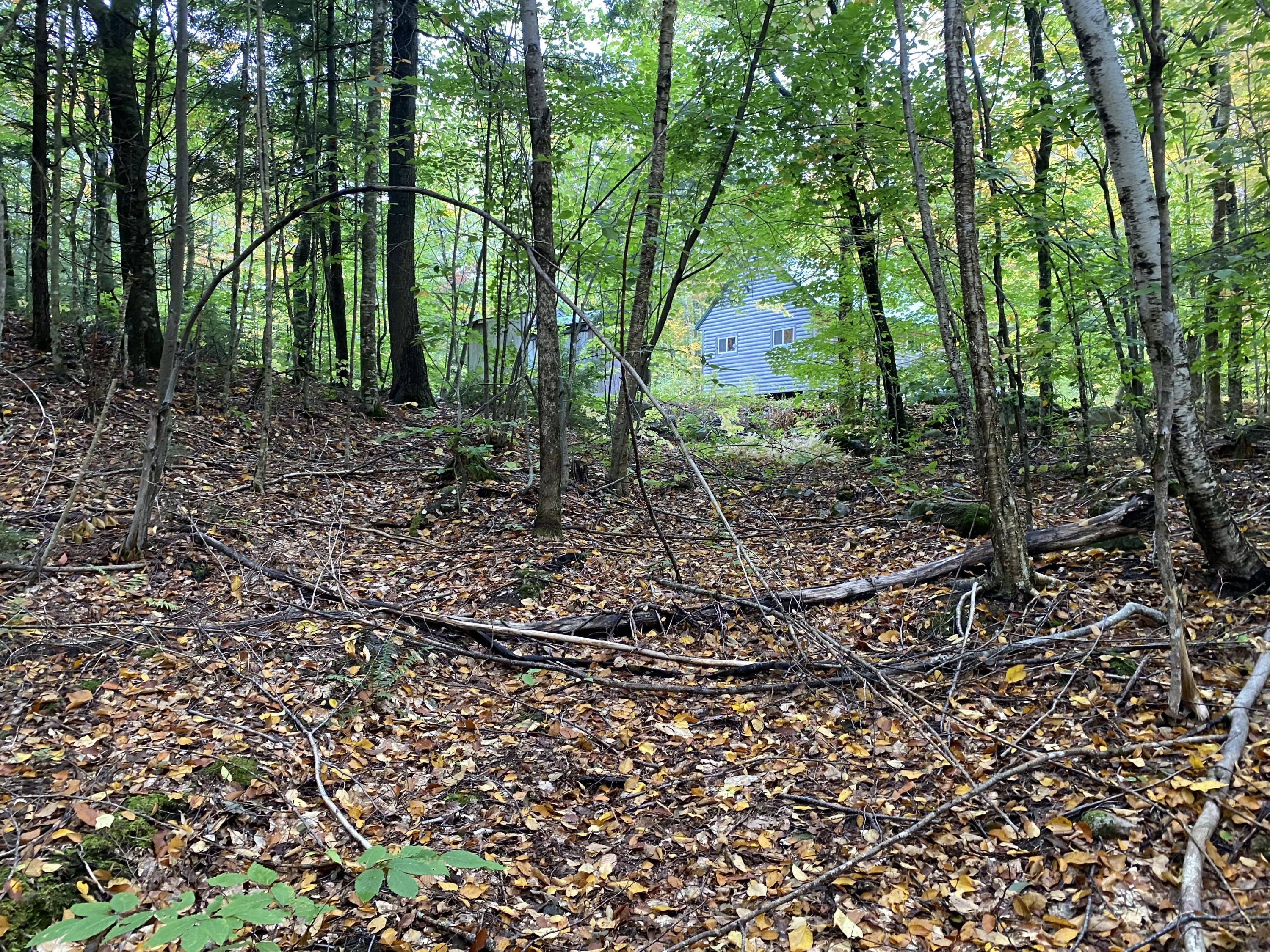 Lot 46 Dill Valley Road Lakeville, ME 04487 - Photo 16 of 38 Photo Sep 29, 11 56 22 AM