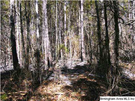 Simson Road, Unit 38 Ashland, AL 36251 - Photo 6 of 7