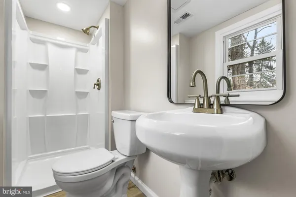 a view of yard with large trees