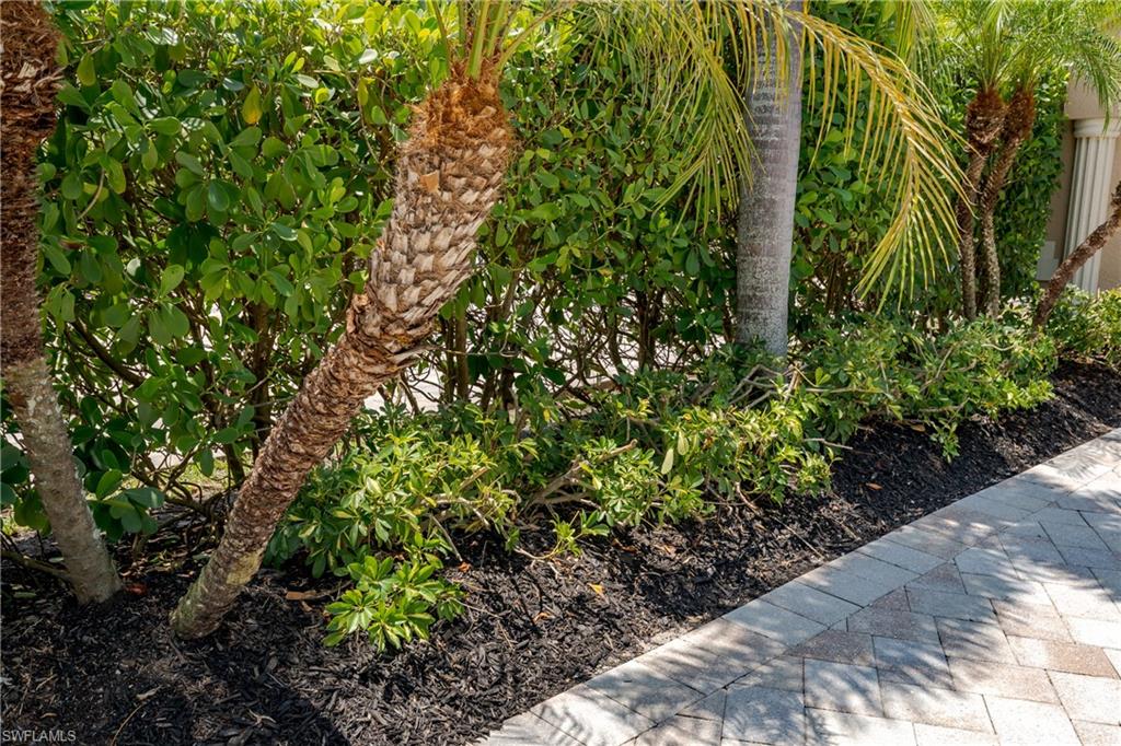 13419 Snook Circle Naples, FL 34114 - Photo 16 of 34 a view of a garden with plants