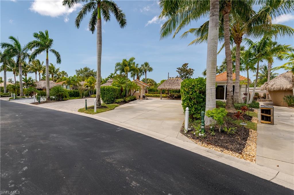 13419 Snook Circle Naples, FL 34114 - Photo 24 of 34 a palm tree sitting in front of a house with a palm tree