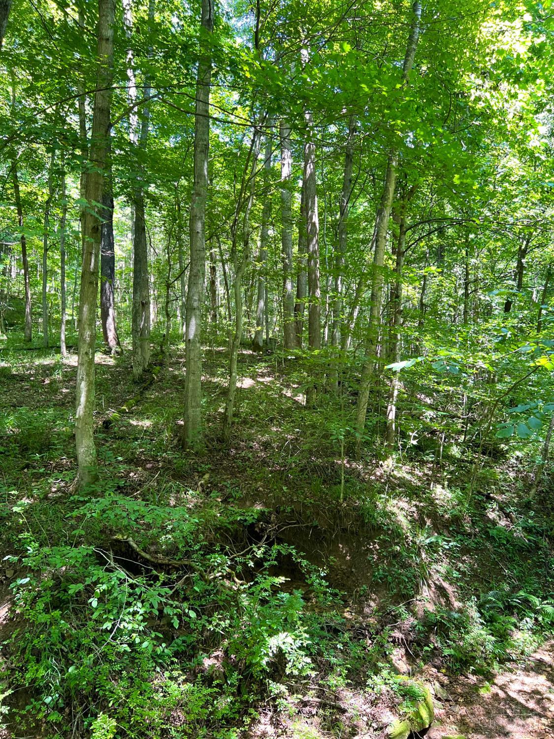 0 South Chenoweth Fork Road Piketon, OH 45661 - Photo 68 of 95