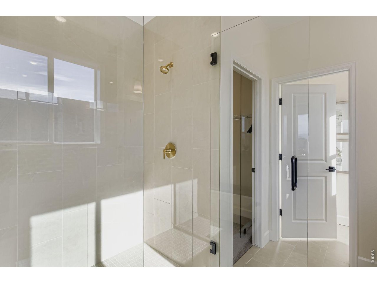 598 Noola Street Windsor, CO 80550 - Photo 24 of 43 Primary shower