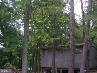 19 Thomas Road Voorhees, NJ 08043 - Photo 5 of 6 Gallery Image 5
