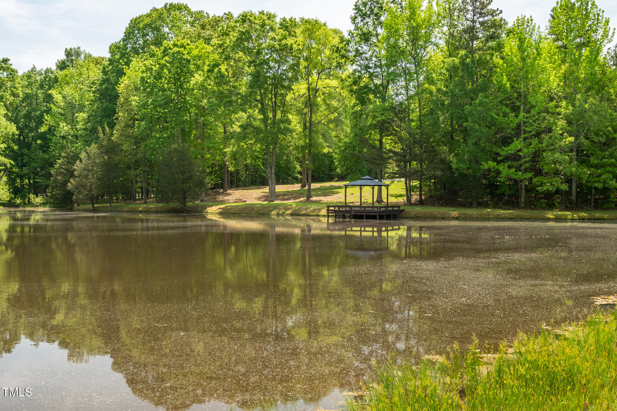 35 Fire Tower Drive Rougemont, NC 27572 - Photo 57 of 72 a view of a lake view