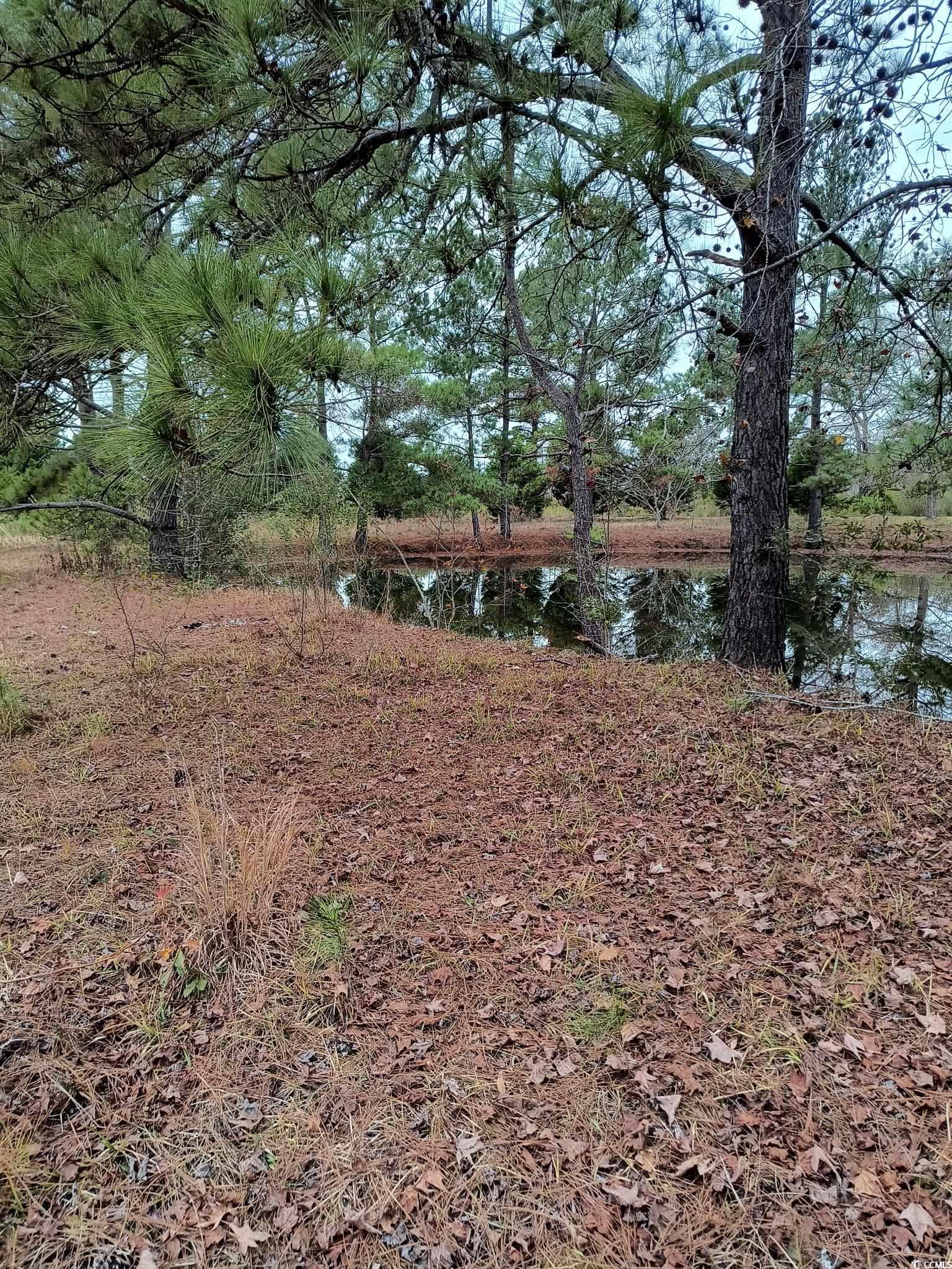 2701 Wise Road Conway, SC 29526 - Photo 3 of 3