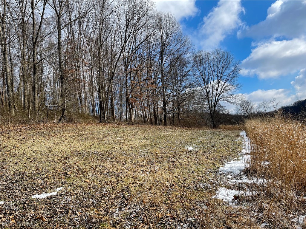 16602 Dog Road Southwest Newcomerstown, OH 43832 - Photo 2 of 29 Gallery Image 2