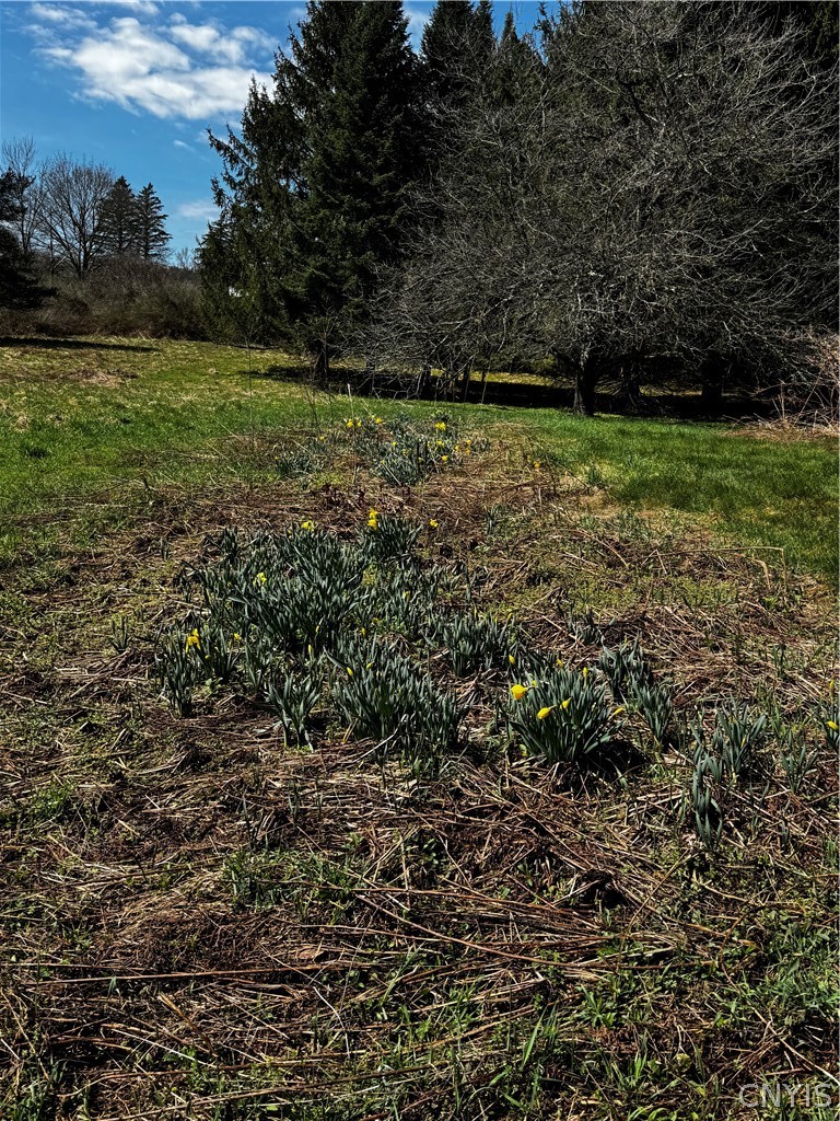 2846 West Hill Road Madison, NY 13346 - Photo 37 of 39