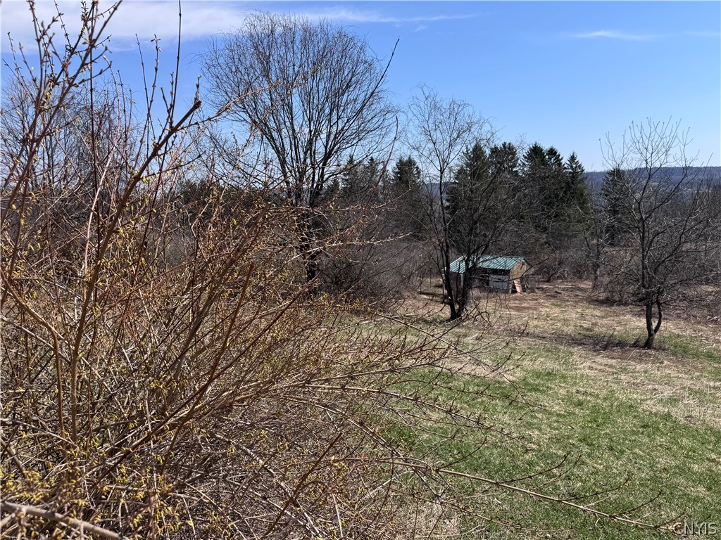 2846 West Hill Road Madison, NY 13346 - Photo 38 of 39