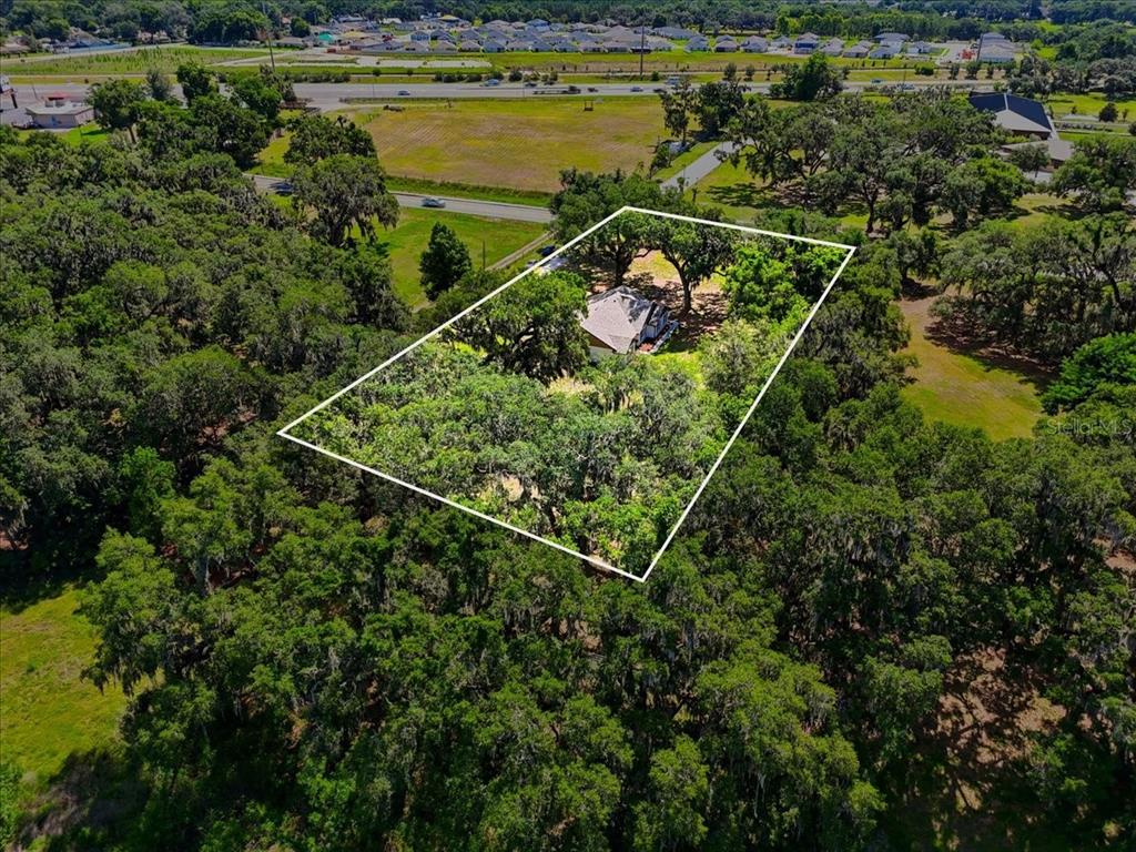 2341 EF Griffin Road Lakeland, FL 33813 - Photo 58 of 59