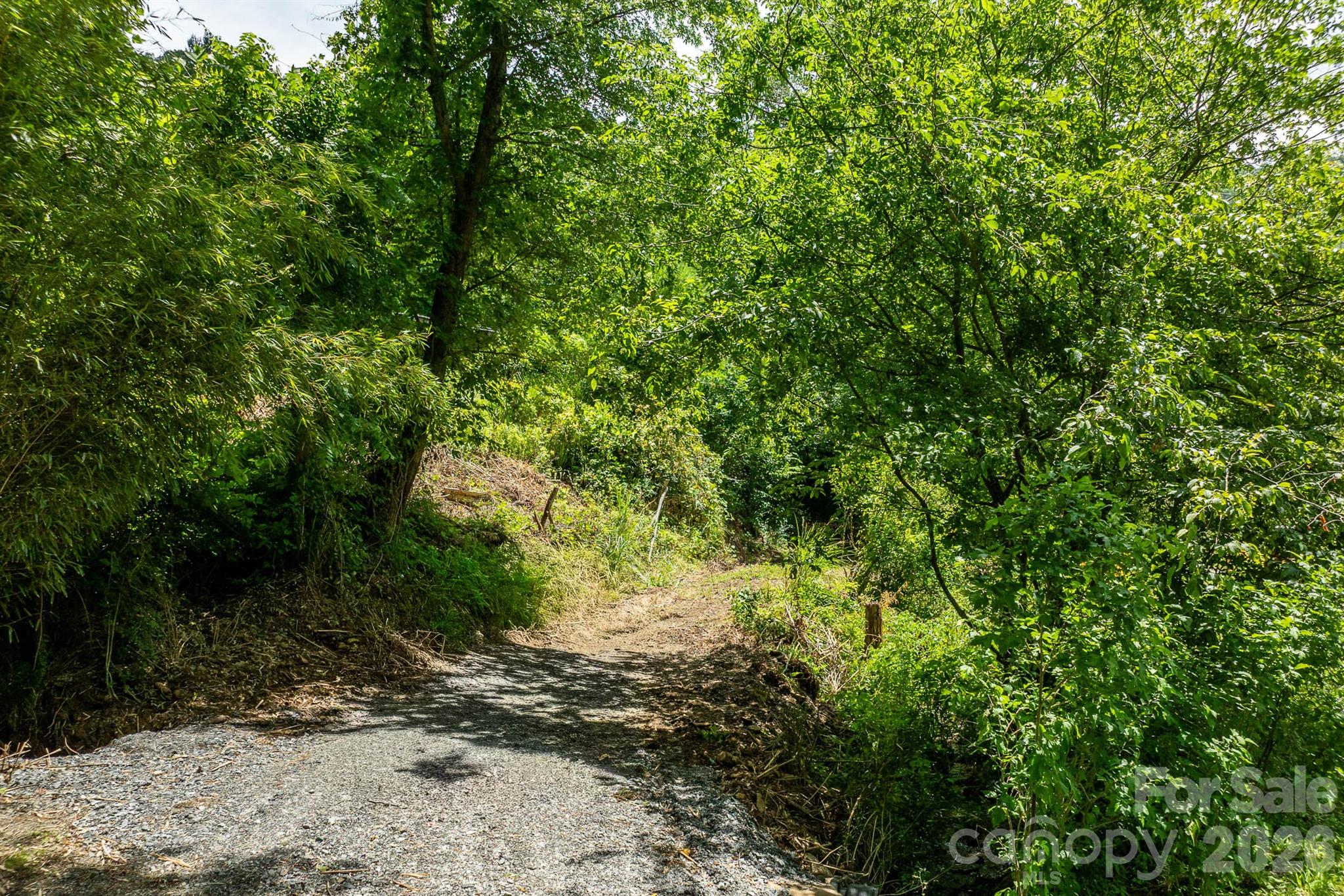 789 Jarrett Cove Road Marshall, NC 28753 - Photo 12 of 41