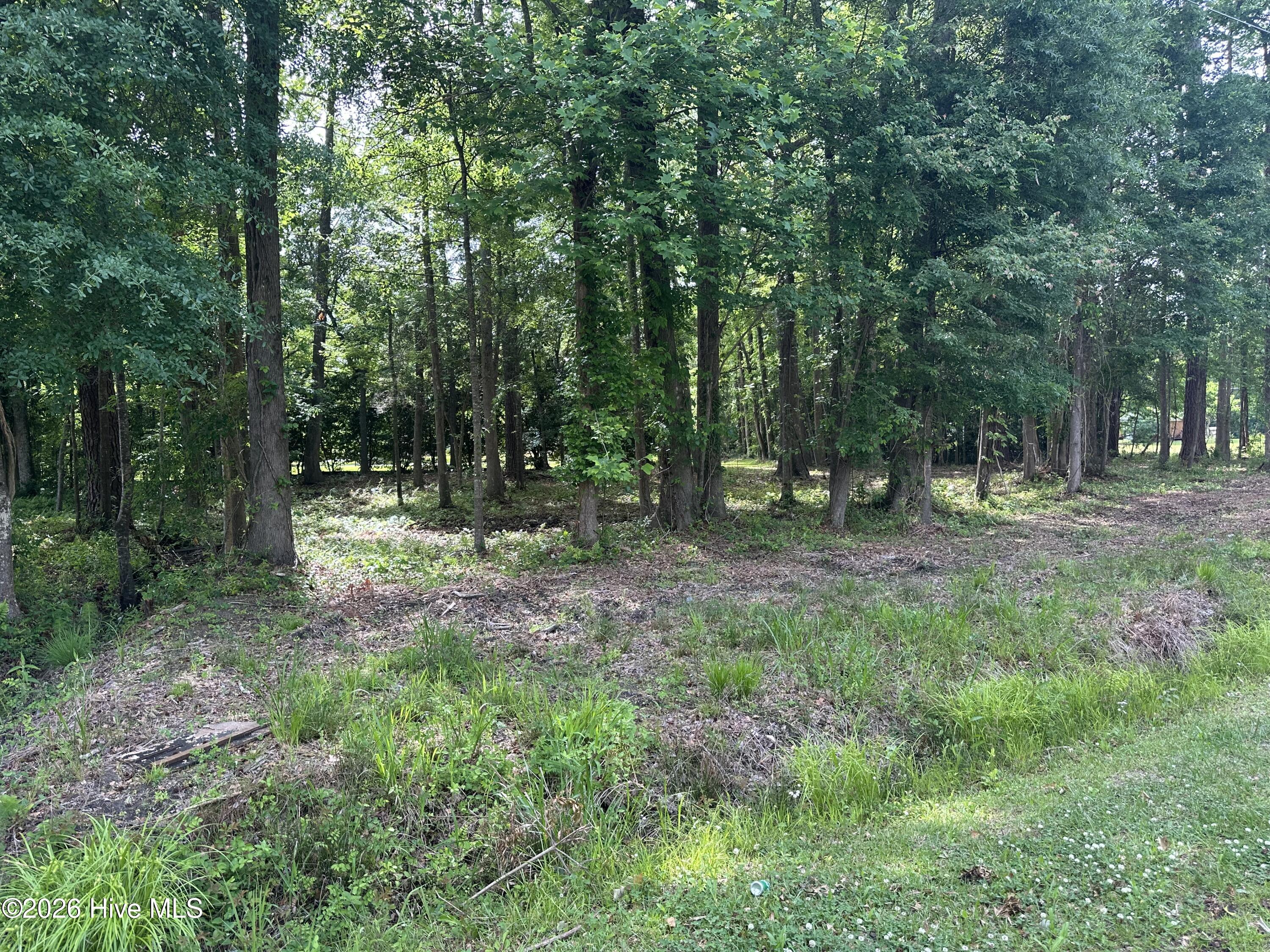 628 Blue Jean Road Whiteville, NC 28472 - Photo 3 of 6 IMG_3731