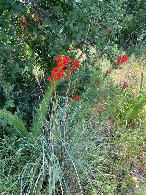 0 Lower Tonk Valley Road Graham, TX 76450 - Photo 34 of 35