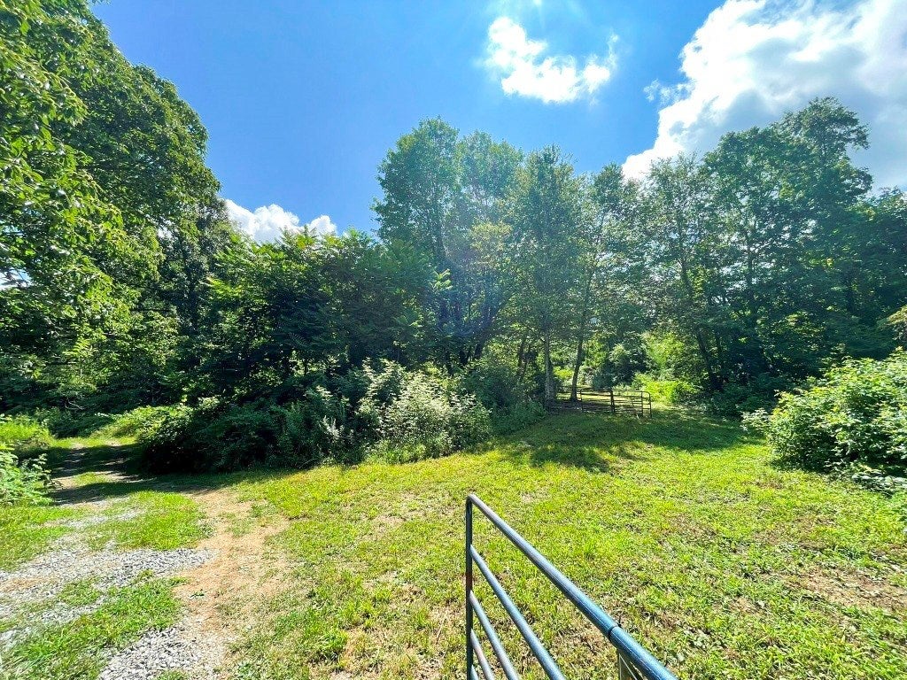 Tbd Big Ridge Road Independence, VA 24348 - Photo 3 of 29 Gallery Image 3