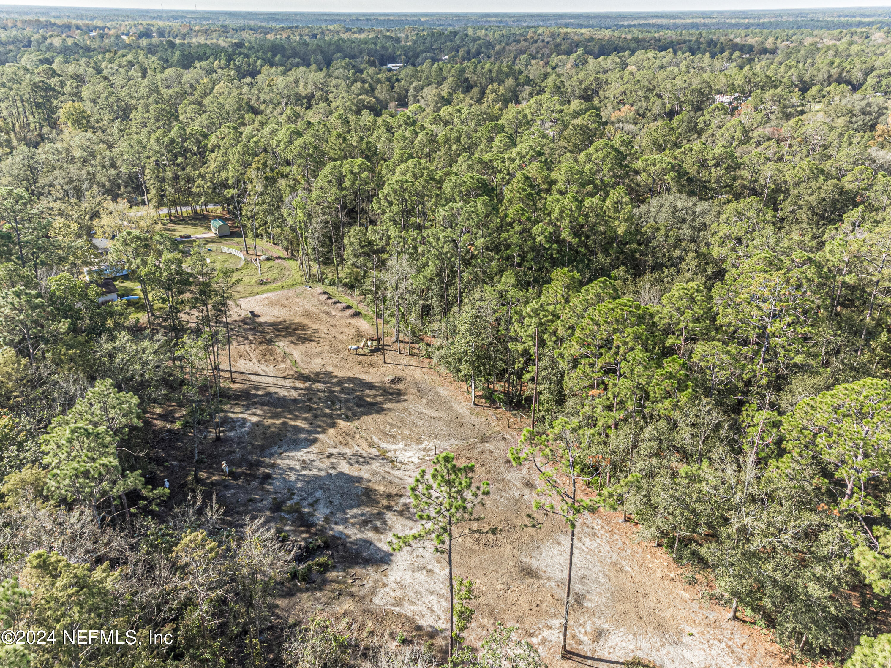 a view of a yard with large trees