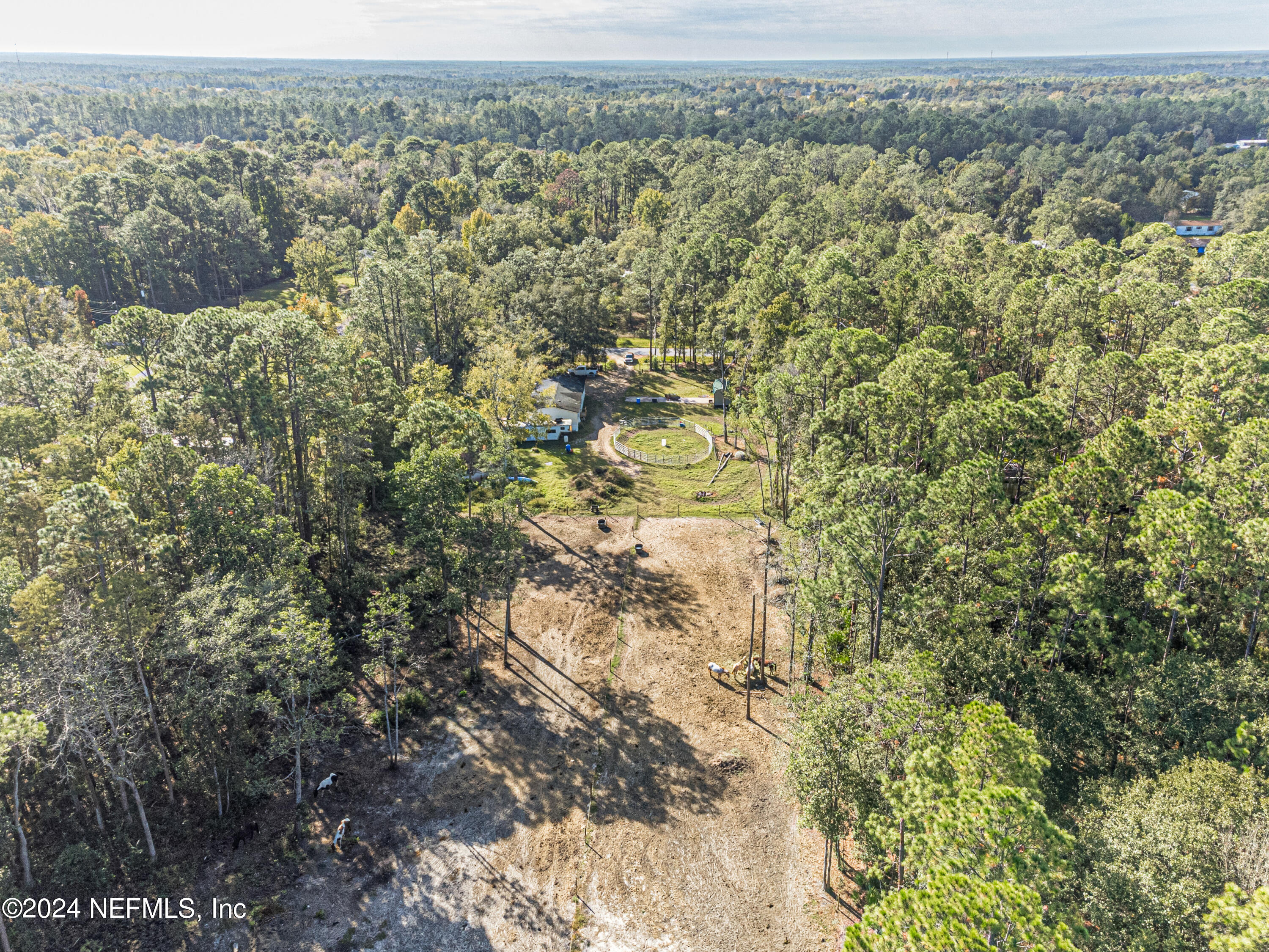 4058 Pinto Road Middleburg, FL 32068 - Photo 2 of 6 a view of a yard with an outdoor space